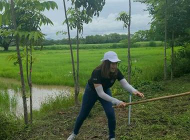สำนักงานสหกรณ์จังหวัดเชียงราย จัดกิจกรรมปลูกพืชสมุนไพร ... พารามิเตอร์รูปภาพ 45